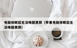 电脑休眠后无法唤醒黑屏（苹果电脑休眠后无法唤醒黑屏）