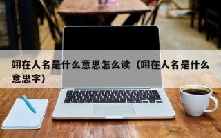 翊在人名是什么意思怎么读（翊在人名是什么意思字）