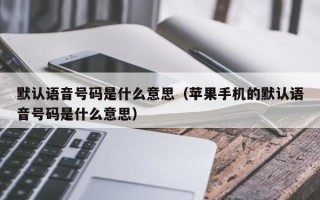 默认语音号码是什么意思（苹果手机的默认语音号码是什么意思）