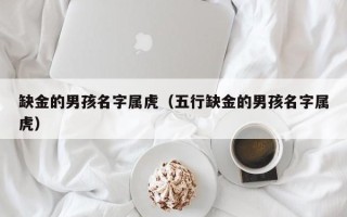 缺金的男孩名字属虎（五行缺金的男孩名字属虎）