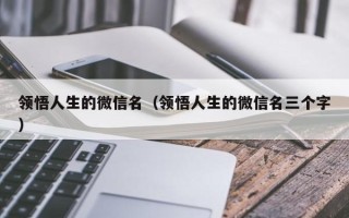 领悟人生的微信名（领悟人生的微信名三个字）