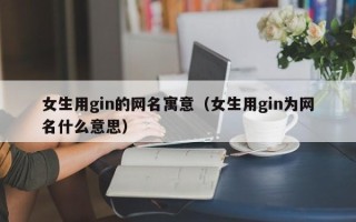 女生用gin的网名寓意（女生用gin为网名什么意思）