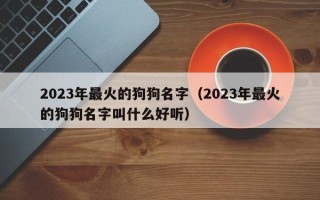 2023年最火的狗狗名字（2023年最火的狗狗名字叫什么好听）