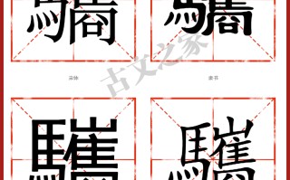 弢字怎么读(弢 怎么读)