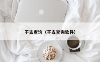 干支查询（干支查询软件）