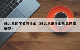 耗儿鱼的学名叫什么（耗儿鱼是什么鱼怎样做好吃）