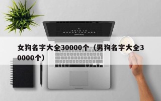 女狗名字大全30000个（男狗名字大全30000个）