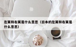 左翼和右翼是什么意思（日本的左翼和右翼是什么意思）