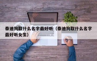 泰迪狗取什么名字最好听（泰迪狗取什么名字最好听女生）