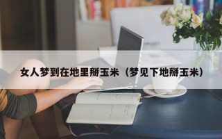 女人梦到在地里掰玉米（梦见下地掰玉米）