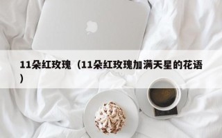 11朵红玫瑰（11朵红玫瑰加满天星的花语）