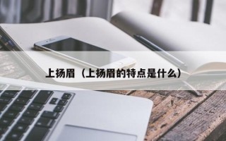 上扬眉（上扬眉的特点是什么）