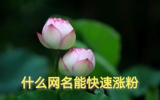 唯美的二字昵称(唯美的昵称)