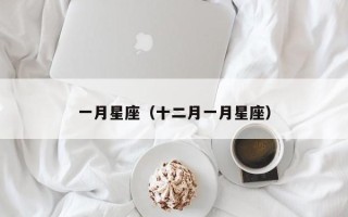 一月星座（十二月一月星座）