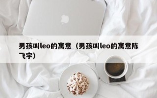 男孩叫leo的寓意（男孩叫leo的寓意陈飞宇）