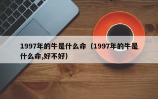 1997年的牛是什么命（1997年的牛是什么命,好不好）