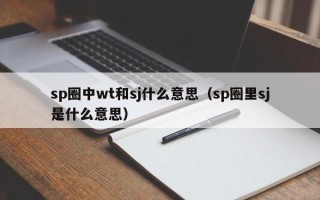 sp圈中wt和sj什么意思（sp圈里sj是什么意思）