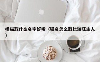 橘猫取什么名字好听（猫名怎么取比较旺主人）