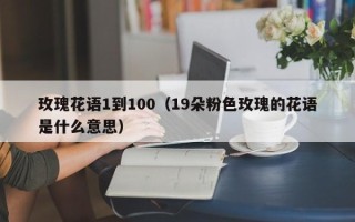 玫瑰花语1到100（19朵粉色玫瑰的花语是什么意思）