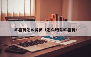 红薯苗怎么育苗（怎么培育红薯苗）