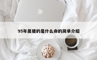 95年属猪的是什么命的简单介绍