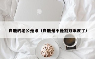 白鹿的老公是谁（白鹿是不是割双眼皮了）