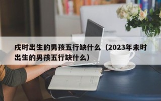 戌时出生的男孩五行缺什么（2023年未时出生的男孩五行缺什么）