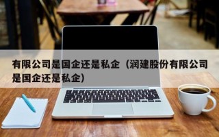 有限公司是国企还是私企（润建股份有限公司是国企还是私企）