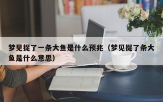 梦见捉了一条大鱼是什么预兆（梦见捉了条大鱼是什么意思）