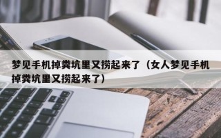 梦见手机掉粪坑里又捞起来了（女人梦见手机掉粪坑里又捞起来了）