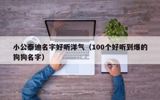 小公泰迪名字好听洋气（100个好听到爆的狗狗名字）