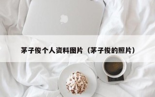 茅子俊个人资料图片（茅子俊的照片）