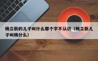 杨立新的儿子叫什么那个字不认识（杨立新儿子叫杨什么）