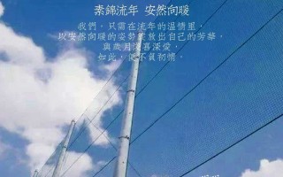 流年的意思(岁月不败美人 韶华不负流年的意思)