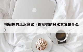 棕榈树的风水意义（棕榈树的风水意义是什么）