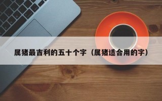 属猪最吉利的五十个字（属猪适合用的字）