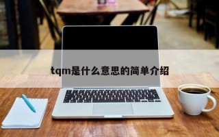 tqm是什么意思的简单介绍