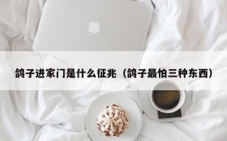 鸽子进家门是什么征兆（鸽子最怕三种东西）