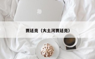 贾廷亮（大土河贾廷亮）