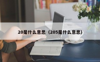 20是什么意思（205是什么意思）