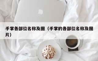 手掌各部位名称及图（手掌的各部位名称及图片）