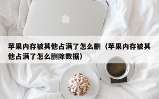 苹果内存被其他占满了怎么删（苹果内存被其他占满了怎么删除数据）