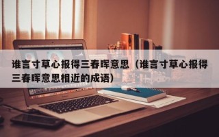 谁言寸草心报得三春晖意思（谁言寸草心报得三春晖意思相近的成语）