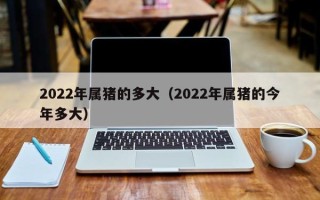 2022年属猪的多大（2022年属猪的今年多大）