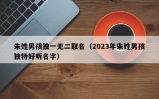 朱姓男孩独一无二取名（2023年朱姓男孩独特好听名字）