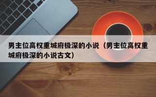 男主位高权重城府极深的小说（男主位高权重城府极深的小说古文）