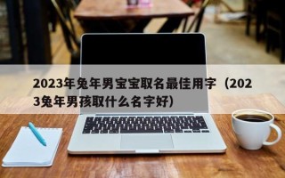 2023年兔年男宝宝取名最佳用字（2023兔年男孩取什么名字好）