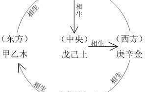 甲己合化土(甲己合化土详解)