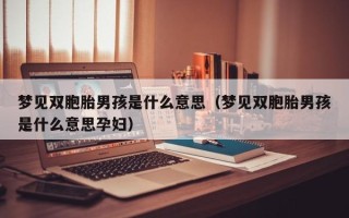 梦见双胞胎男孩是什么意思（梦见双胞胎男孩是什么意思孕妇）