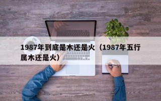 1987年到底是木还是火（1987年五行属木还是火）